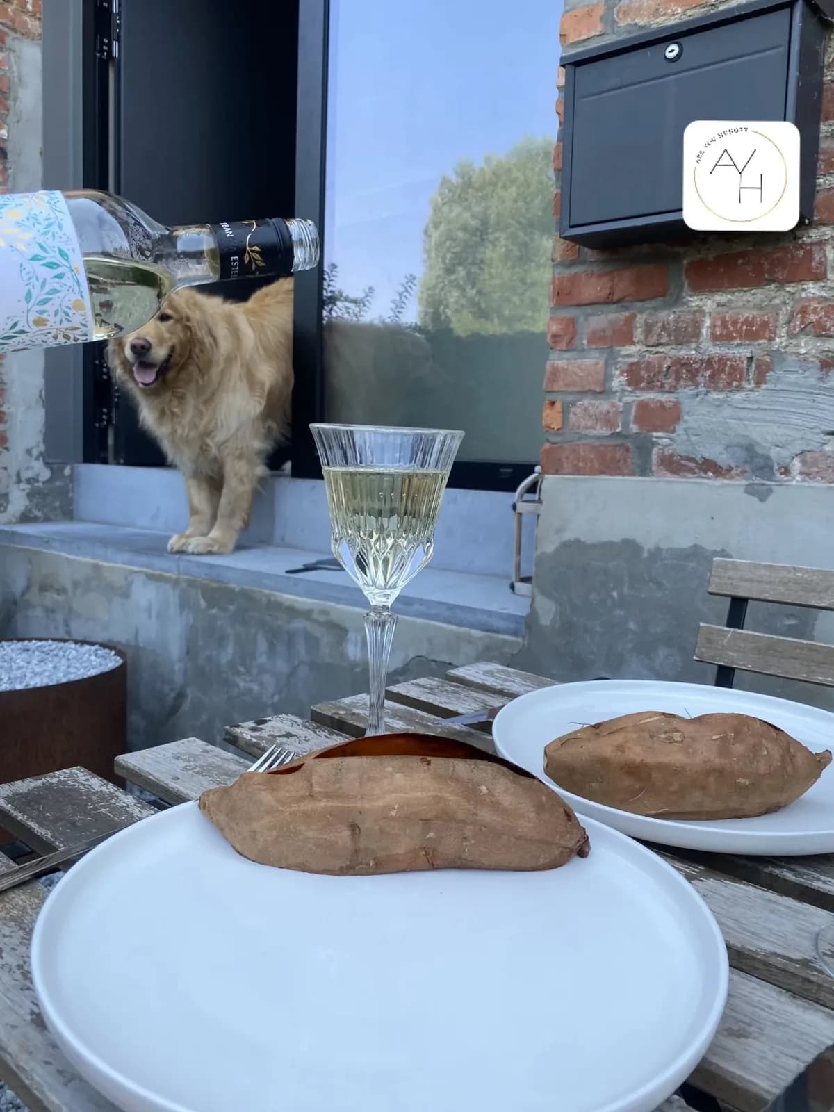 Vin blanc servi à une table dressée en extérieur pour deux