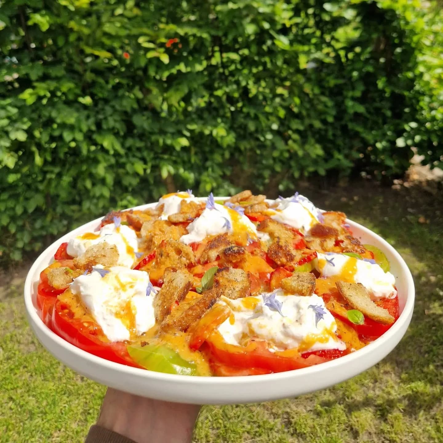 Un plat tomate-burrata dressé pour un service au jardin