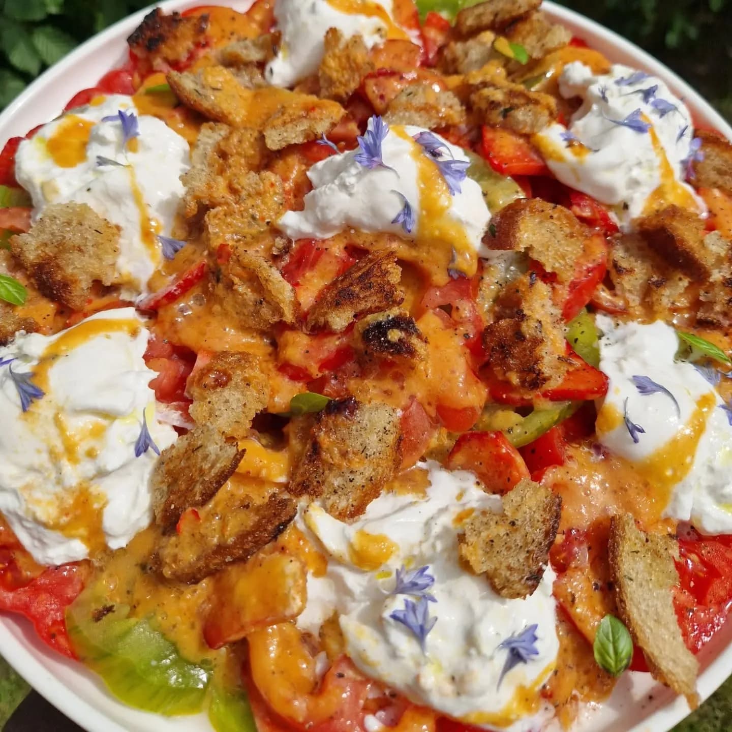 Tomate et burrata aux poivrons, vus de dessus